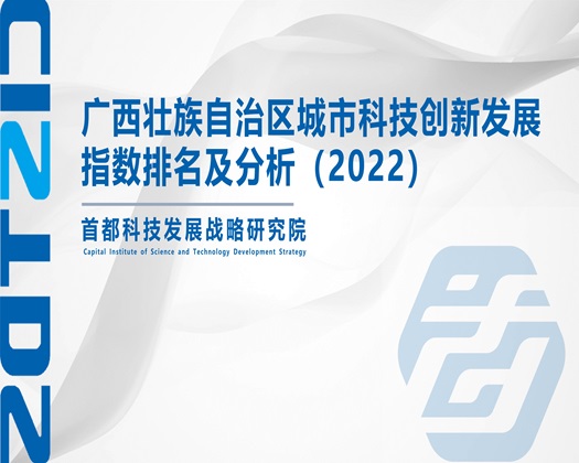 黄暴骚骚逼逼JJ福利视频导航网址【成果发布】广西壮族自治区城市科技创新发展指数排名及分析（2022）